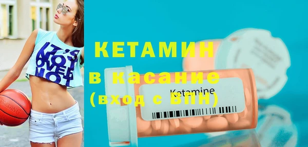 шишки Белокуриха