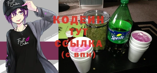 шишки Белокуриха