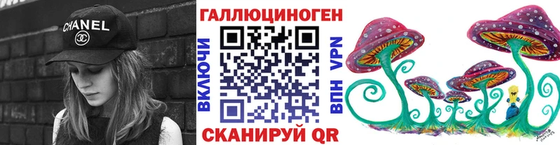 дарнет шоп  Малмыж  Галлюциногенные грибы Psilocybe 